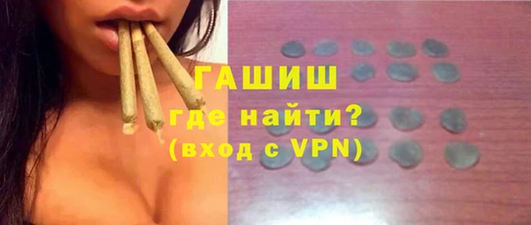 мдпв Инсар