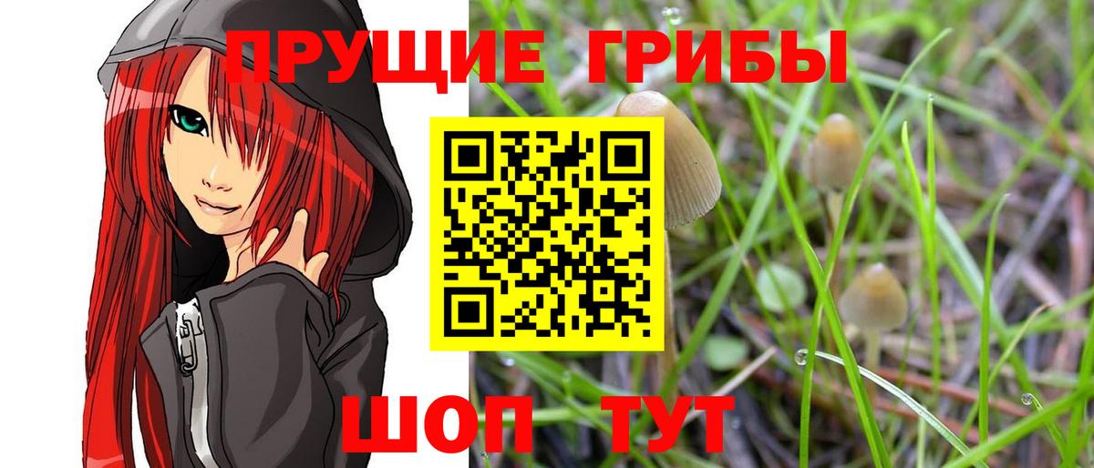 Галлюциногенные грибы Magic Shrooms Назарово